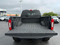 2022 Ford Super Duty F-250 SRW 4WD Platinum Crew Cab
