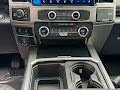 2022 Ford Super Duty F-250 SRW 4WD Platinum Crew Cab
