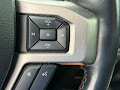 2022 Ford Super Duty F-250 SRW 4WD Platinum Crew Cab