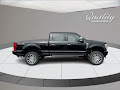 2022 Ford Super Duty F-250 SRW 4WD Platinum Crew Cab