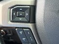 2022 Ford Super Duty F-250 SRW 4WD Platinum Crew Cab