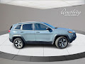 2014 Jeep Cherokee 4WD Trailhawk